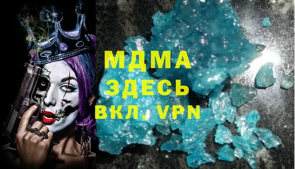 сатива Новозыбков